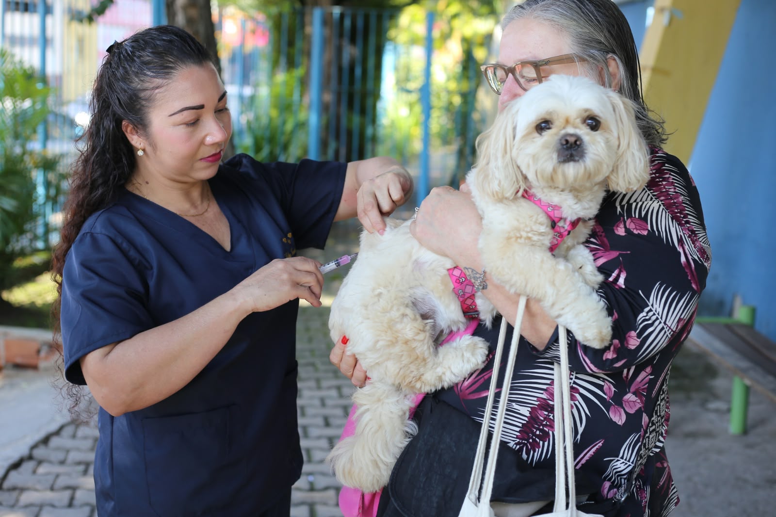 Volta Redonda imuniza mais de 17 mil animais contra a raiva