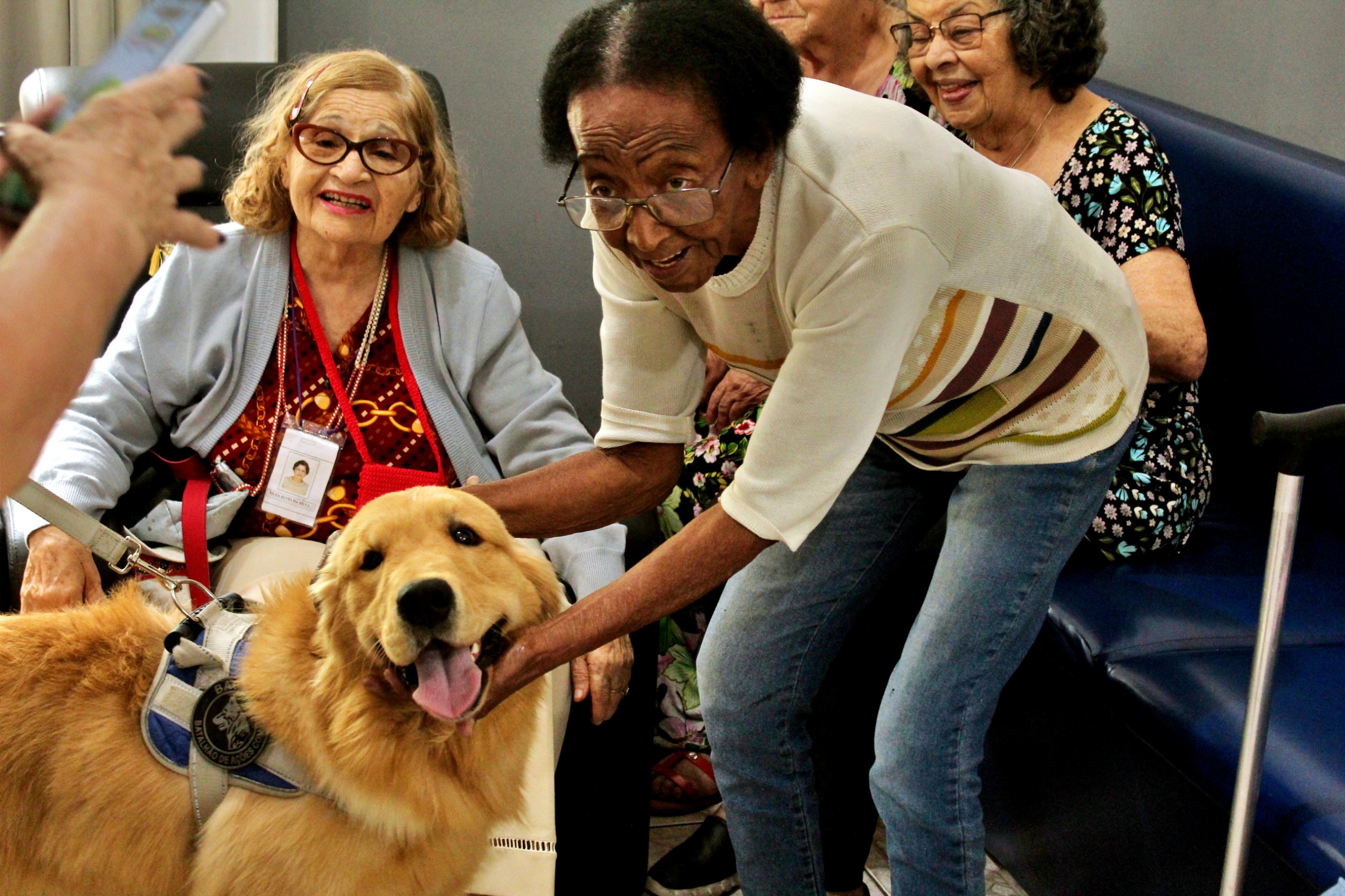 Melhor Idade do Centro-Dia para Pessoas Idosas de Volta Redonda participa de atividades com cão do BAC