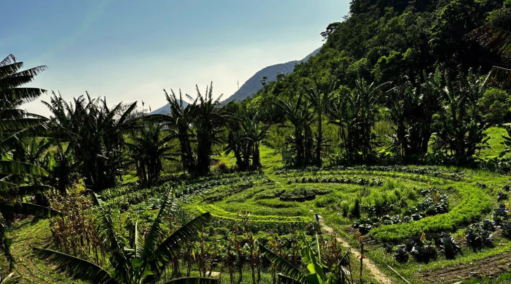Dia Mundial da Alimentação: Maricá destaca ações de segurança alimentar e combate à fome