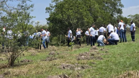 Inea participa de plantio de mudas em Cabo Frio