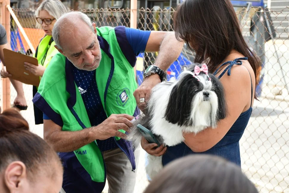 Nova Iguaçu vacina cães e gatos contra a raiva neste sábado (17)