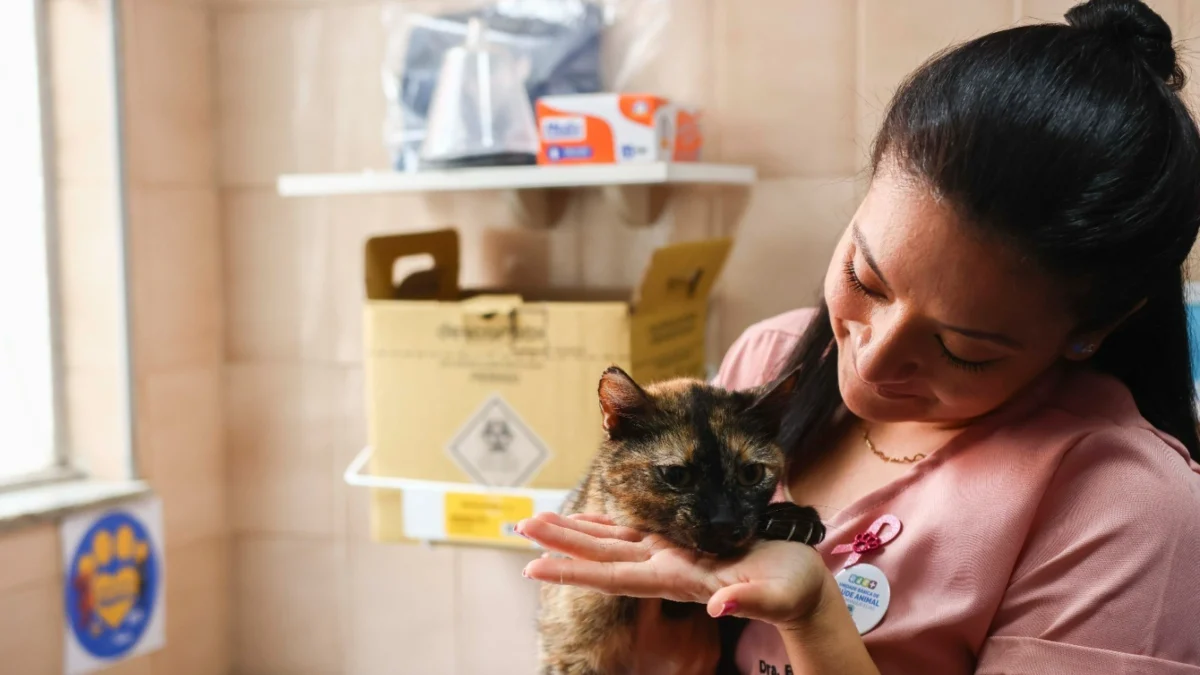 Outubro Rosa Pet: Bem-Estar Animal de Barra do Piraí celebra campanha de prevenção ao câncer de mama em cadelas e gatas