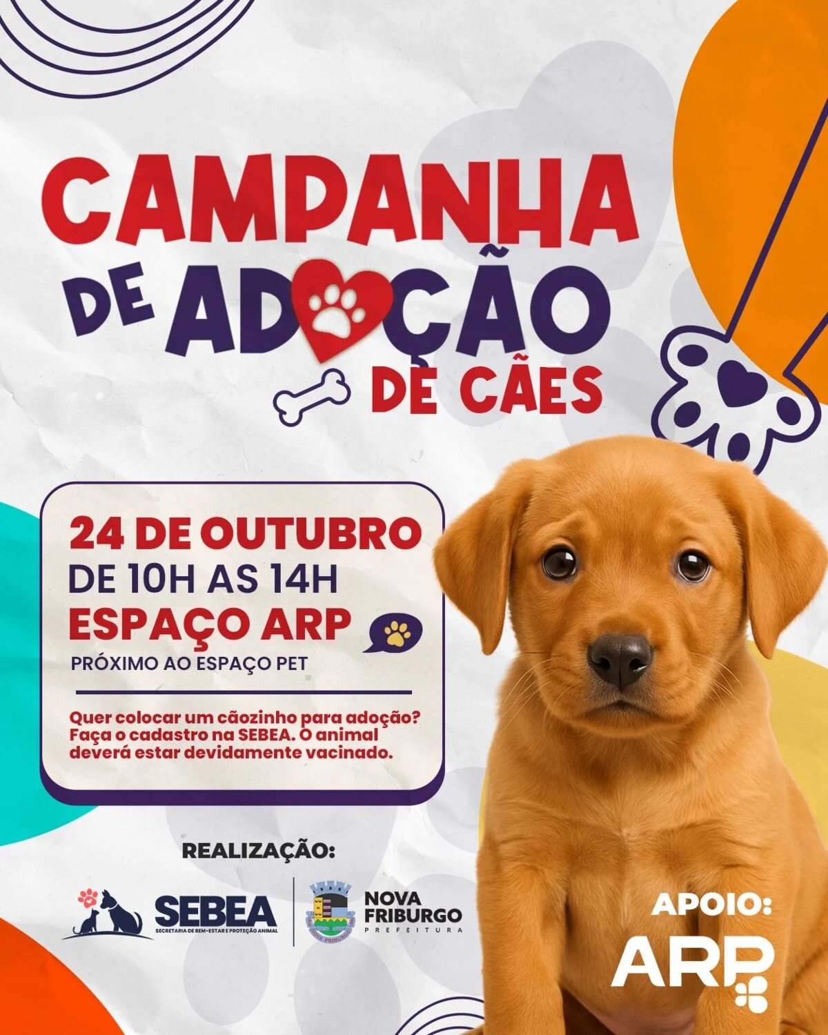 Prefeitura promove campanha de adoção de cães neste sábado, 24