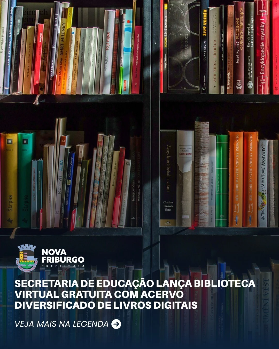Secretaria de educação lança biblioteca virtual gratuita com acervo diversificado de livros digitais