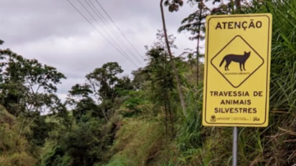 Secretaria do Ambiente instala placas de sinalização para travessia de animais silvestres na estrada Barra do Piraí x Ipiabas